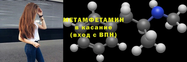 прущие грибы Беломорск