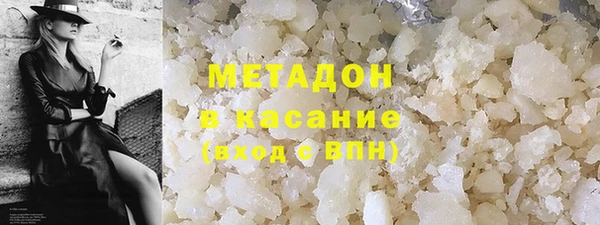 прущие грибы Беломорск