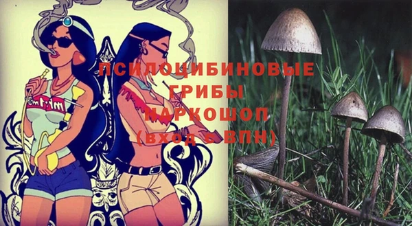 эйфоретик Белоозёрский