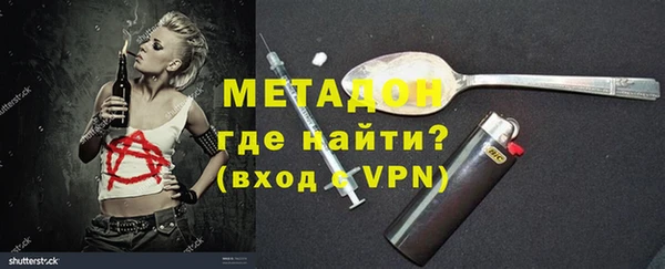 прущие грибы Беломорск