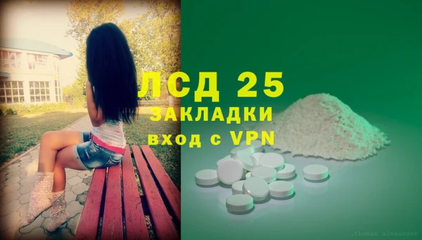 прущие грибы Беломорск